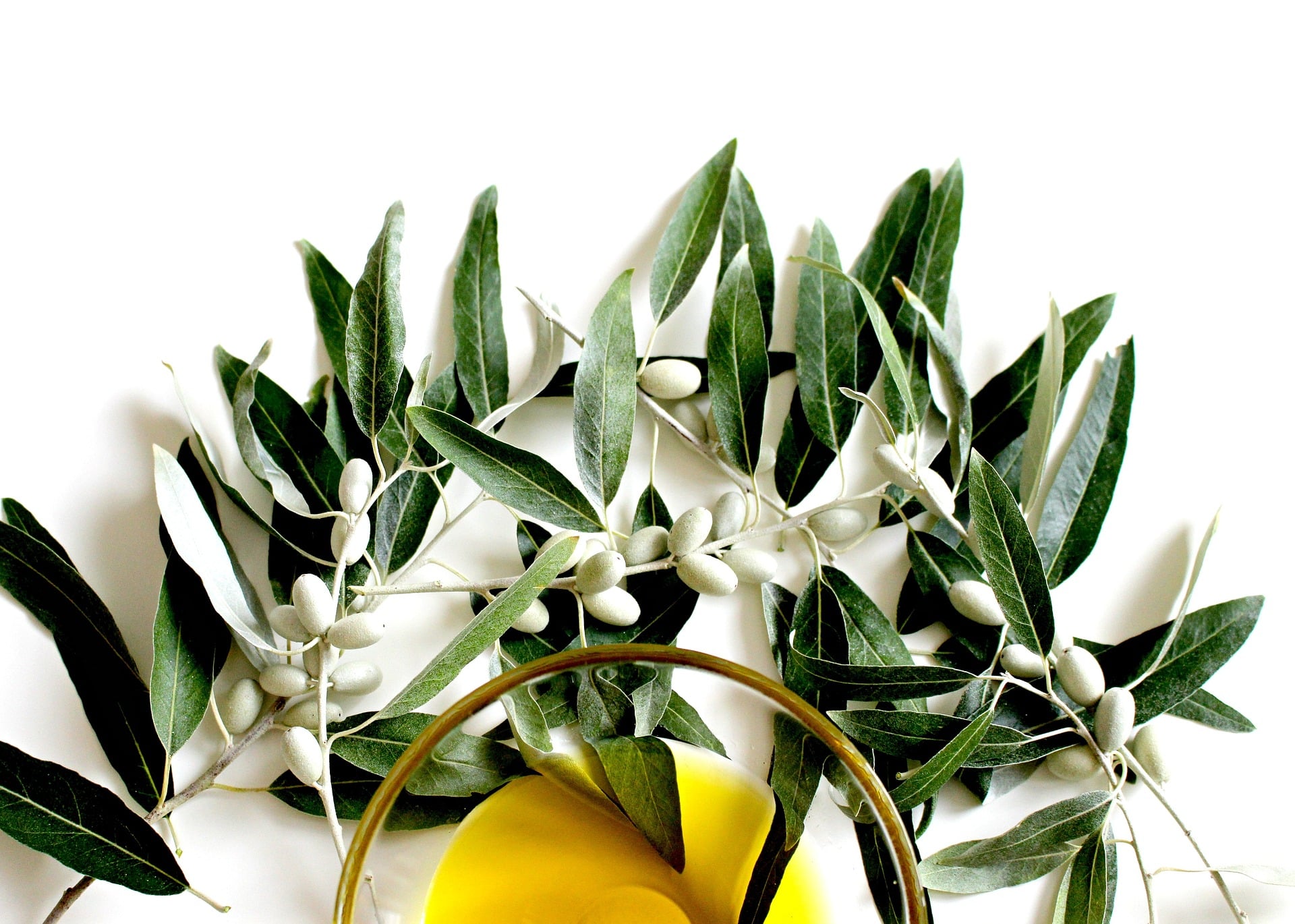 olive oil benefits for hair